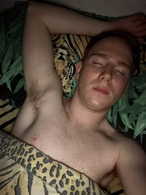 It’s starting to get chilly now 🍂🥶 who wants a little ginger to warm them up? 😉 by Ginger_Jeff