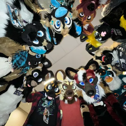 It's the world's largest satellite array! by LostCauseDog