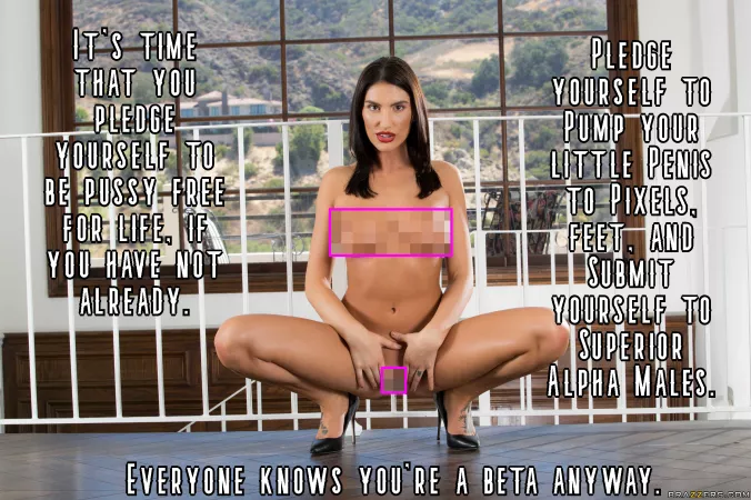 It's time that you pledge yourself to be pussy free, if you have not already. by beta4blackdick