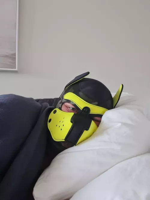 It's too early for this puppy... by Yvekt