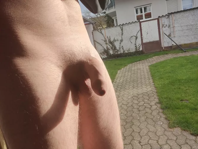 Ive always done stuff that i wanted to do so does anyone have any dares or challenges :) by Snipziy