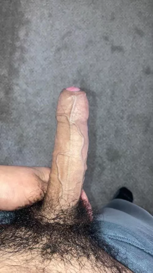 I’ve always wanted to show by RomanaPizza