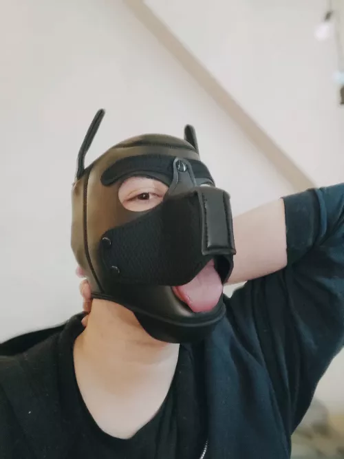 I've been home alone all day and I'm get(t)ing NEEDY 🐺💨🐺💨🐺💨 by bvtchdeadlift