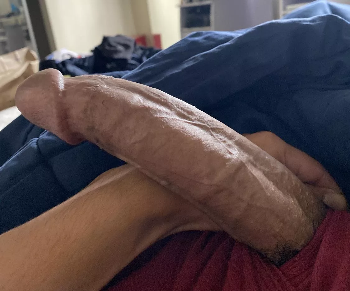 I’ve been told I have a long dick, agree? posted by Hungboy619