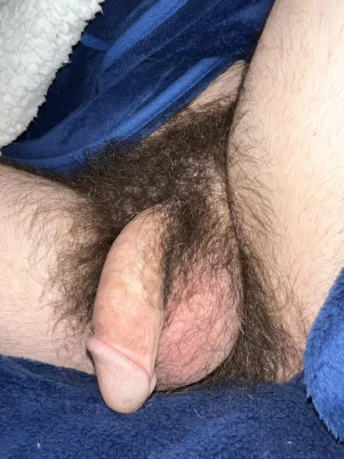 I’ve got a blanket under this blanket by Tallbunyan