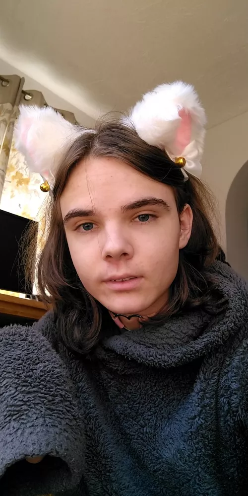 I've got the fluffy jumper, cat ears and thigh highs. All I'm missing is someone to snuggle with. by unironic_catboy