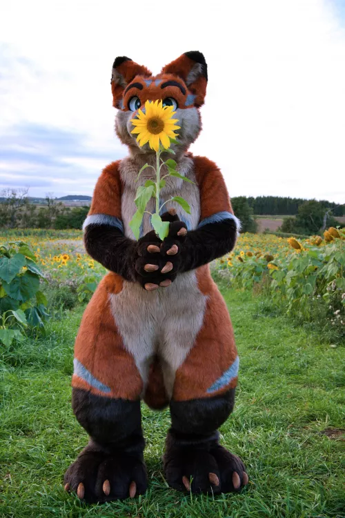 I've got this flower ... For you ☺️ Happy Fursuit Friday! by terrencethefox