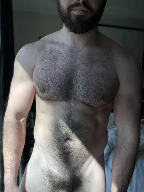 I’ve realized my chest will look more impressive if I work it out by Vorpalitie