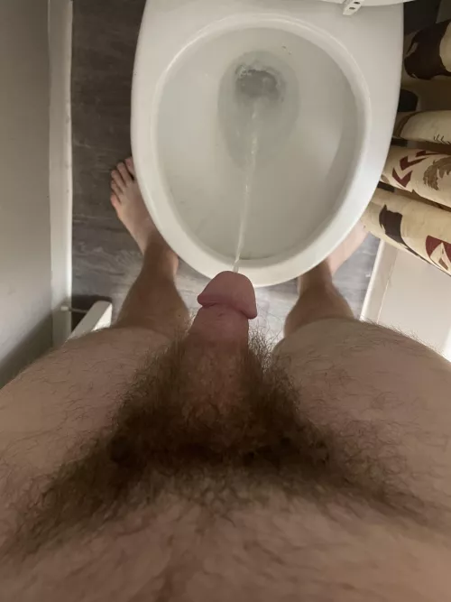 I’vedrank so much alcohol tonight and I’m really feeling myself. I’ve already pissed myself a bunch. Here I am peeing properly into a toilet. by bithrowitoutaccount