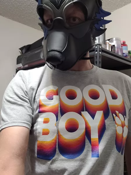 Iz official Good Boy !! by SofaKing_Lame