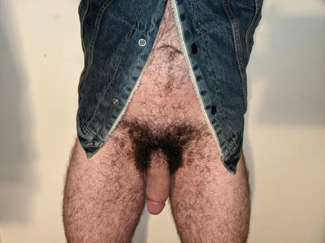 Jacket by RepresentativeSad416