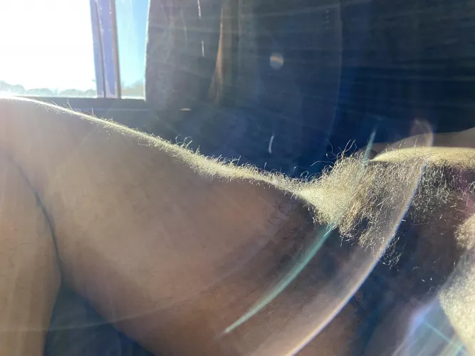 JanuHairy Sunshine 🌞 by sensimilla_earhart