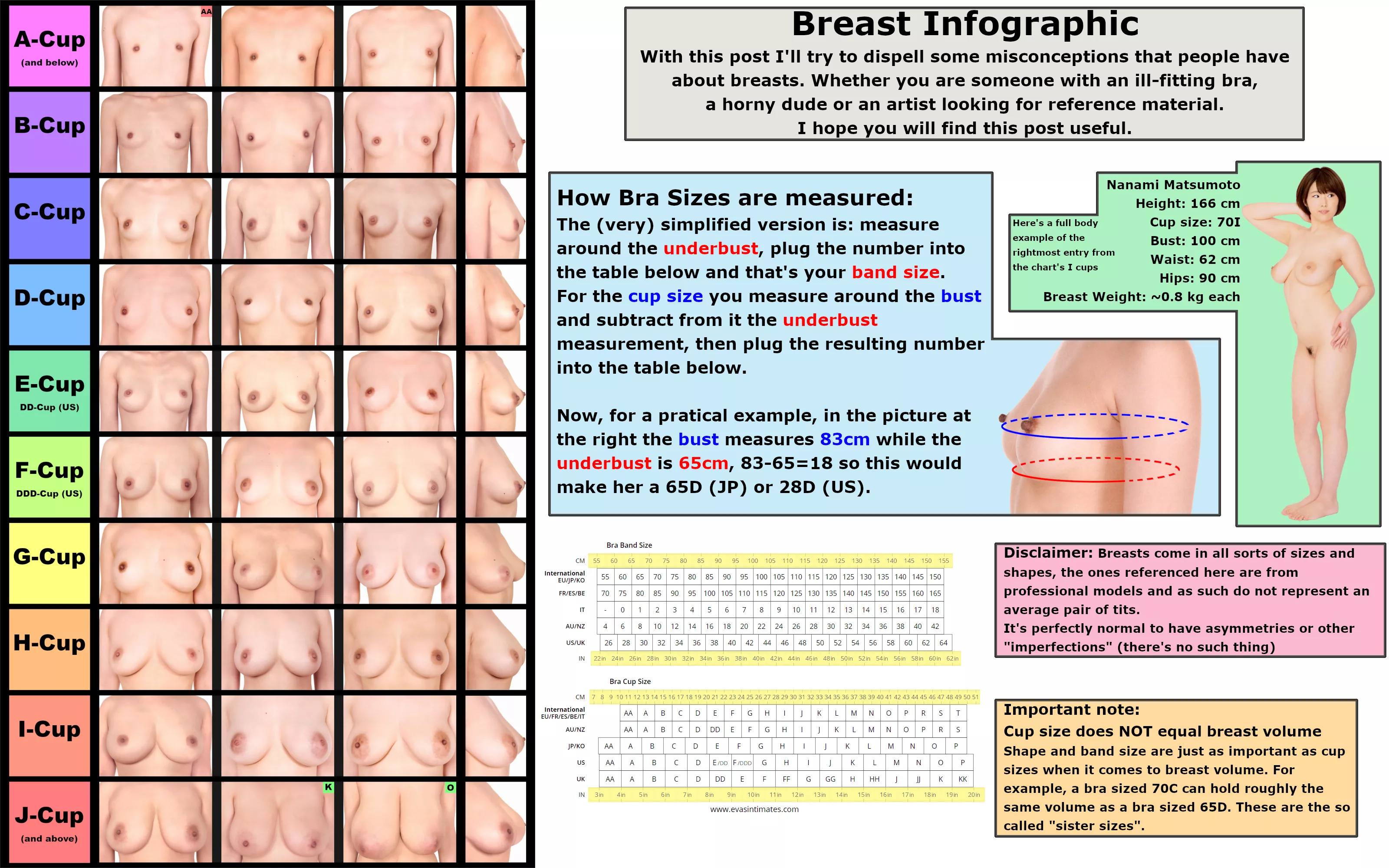 Japanese Breast Chart posted by FlashySnowMan