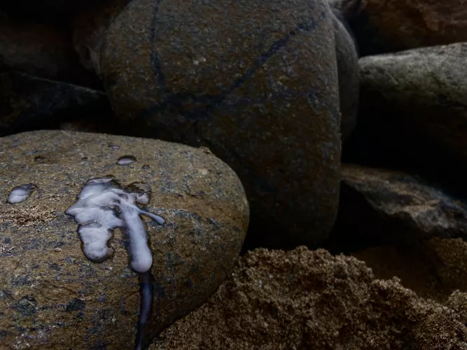 Jerked off until I blew by delete_pictures