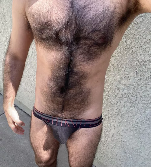 jock out fur a walk by NedSeton