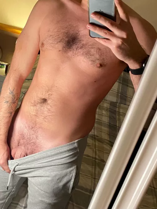 Jogger season👌🏻 by uncut_otter