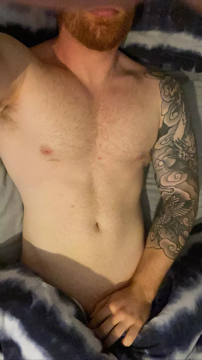 Join me for a cuddle and I’ll show you what I’m hiding posted by ginjajack87