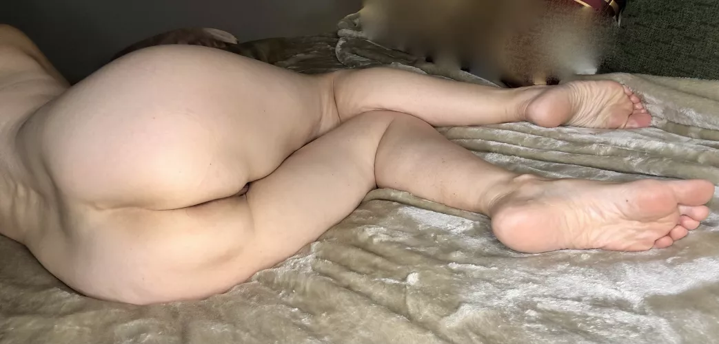 Join me! I am as soft and warm as the blanket! by prettycutefeetmom