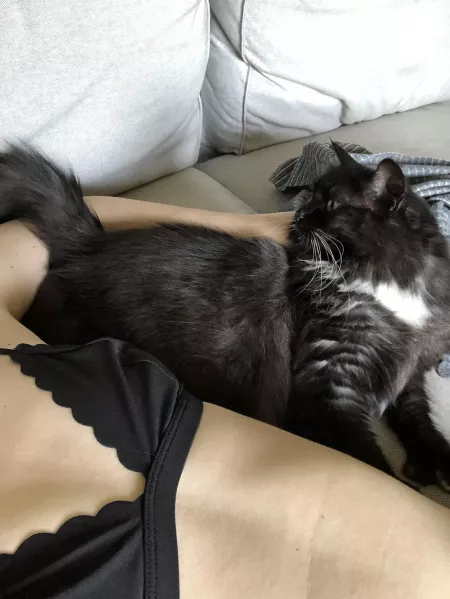 Judged by Ray Ray by badkitty_42