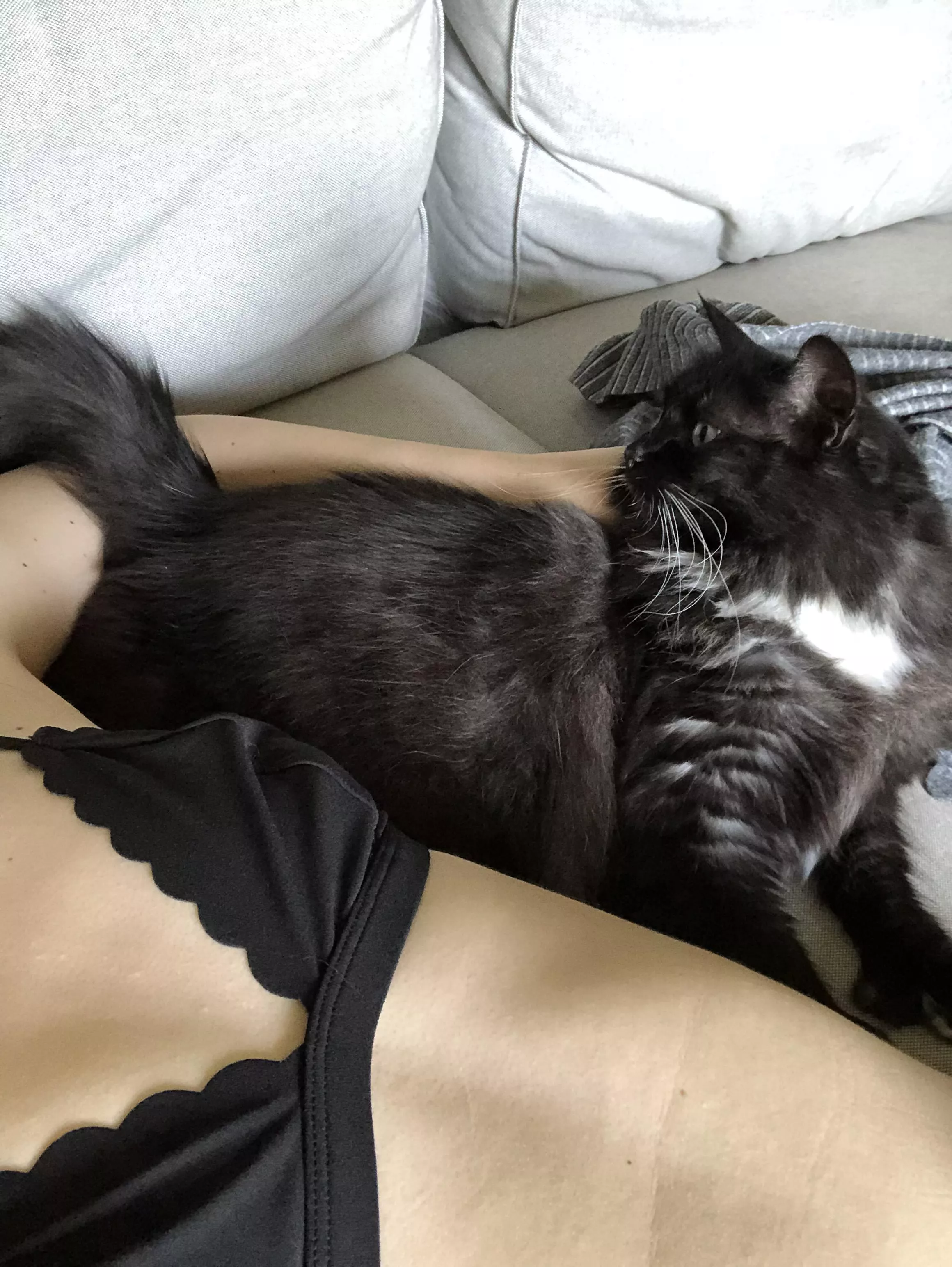 Judged by Ray Ray posted by badkitty_42