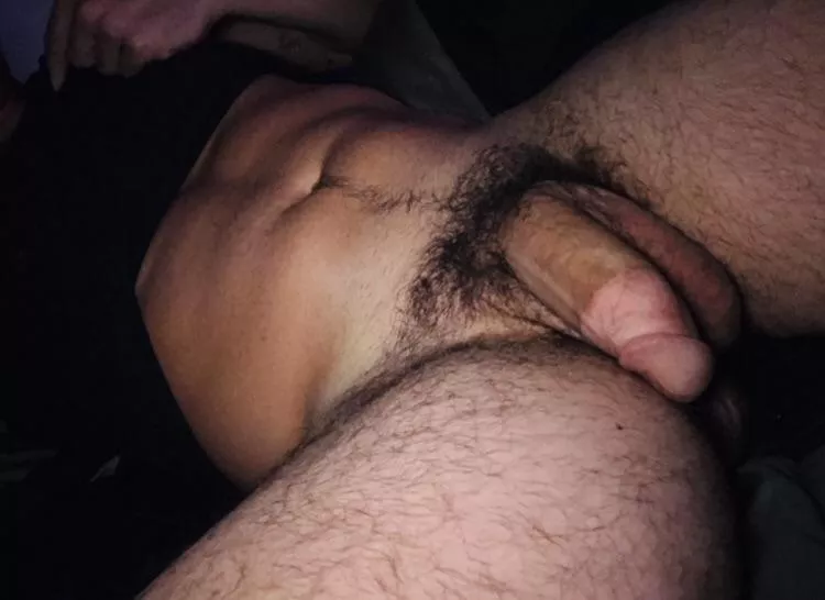 Just a big softie. Think you could get it hard? posted by MilTownBrew12