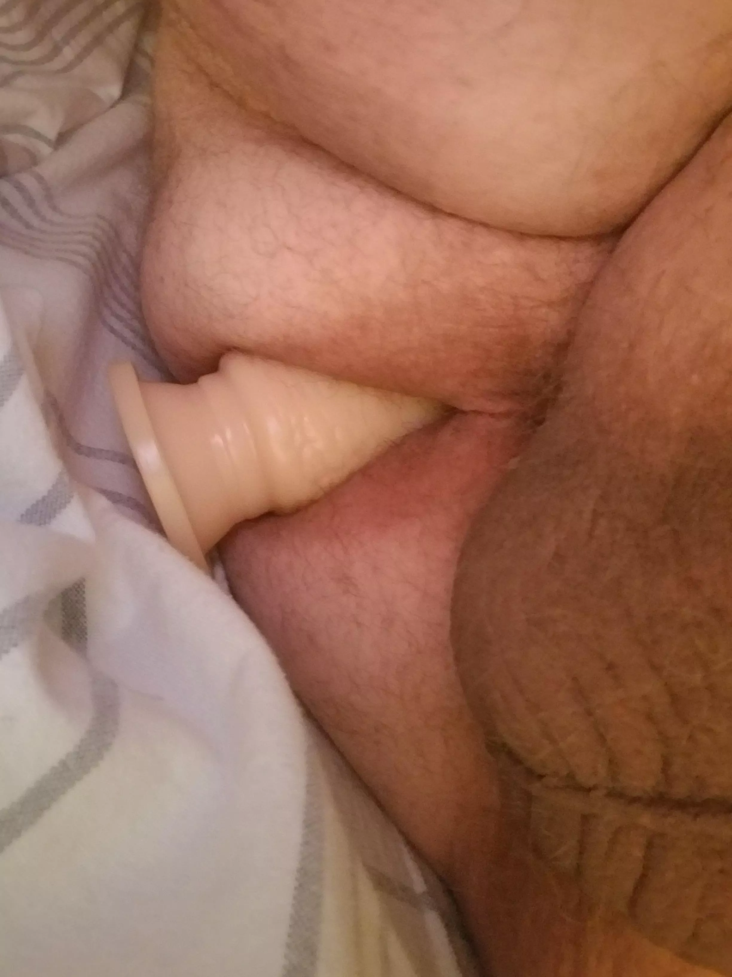 Just a bit of the fun from last night. posted by ANuaghtyAce