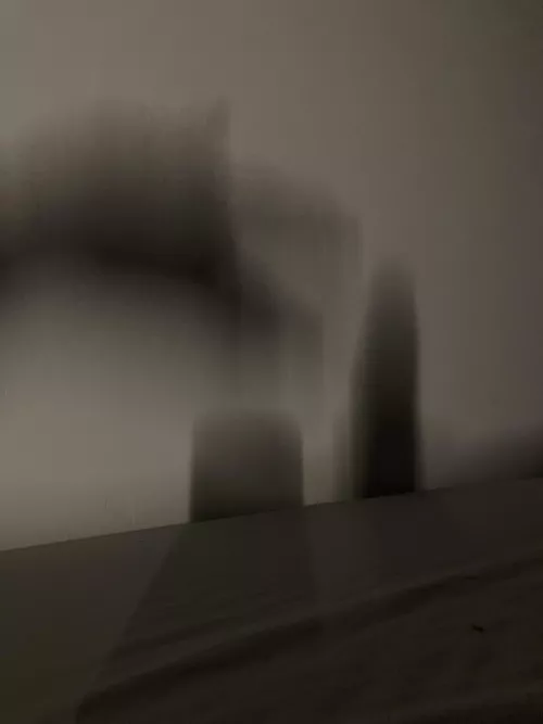 Just a dog playing fech with a stick lol by NotTheWaterBear