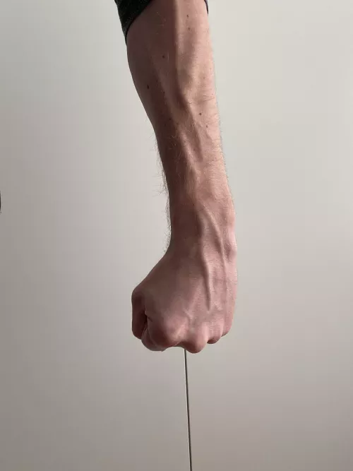 Just a fist and my forearm by DoYouLikeHands