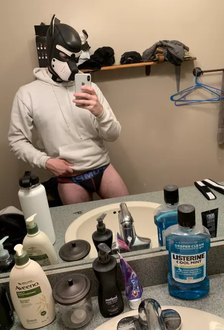 Just a good boy 🥰 by TrivoltWolf