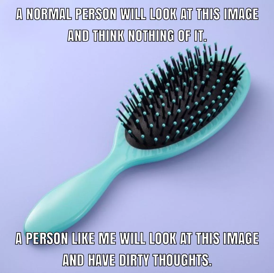 Just a hairbrush. Nothing out of the ordinary here. posted by ToraThePillowCuddler