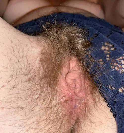 Just a lil pussy, how would you get me wet? by helloshydarling