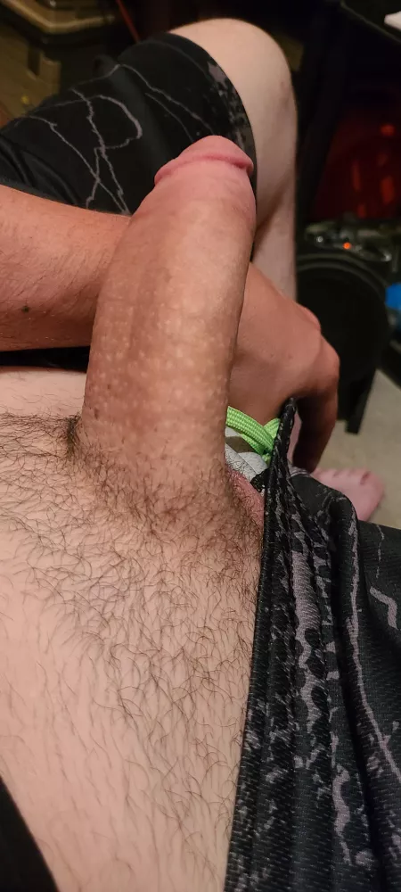 Just a little excite(M)ent in the house. by WhiteWolverine2