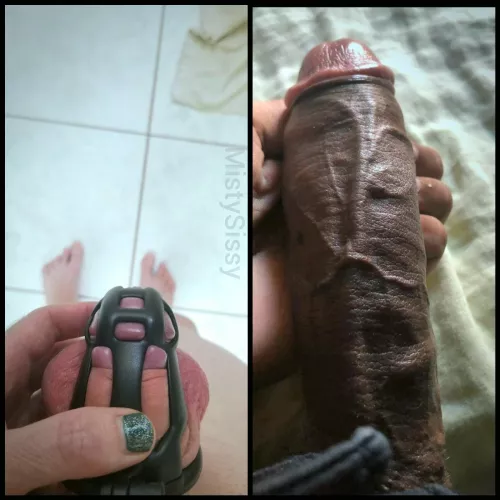 Just a little humiliating isn't it! by MistySissy89