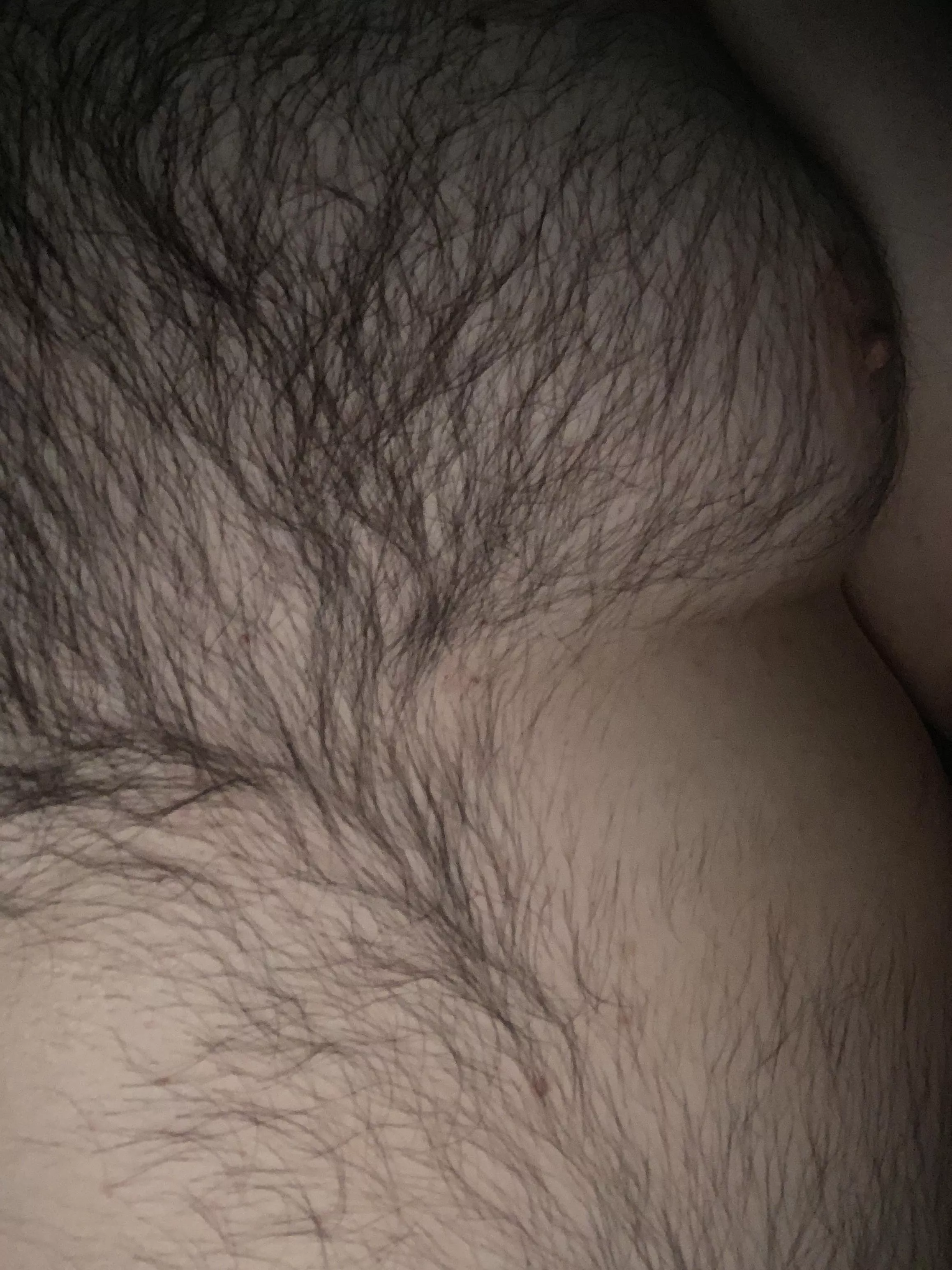 Just a lonely bi bear…. posted by visual_voice2