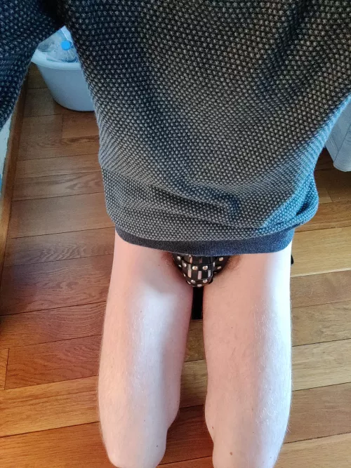 Just a normal day in the home office by Miserable-Property68