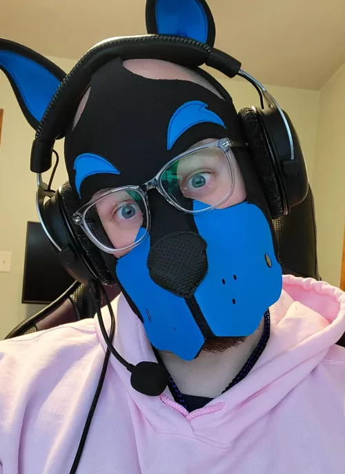 Just a pup playing gaymes. by PiercedPupp