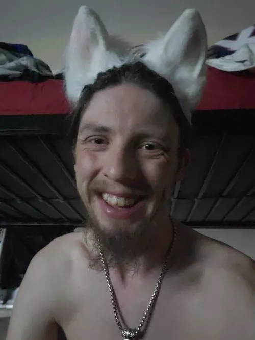 Just a pup without an owner by Metalfett77