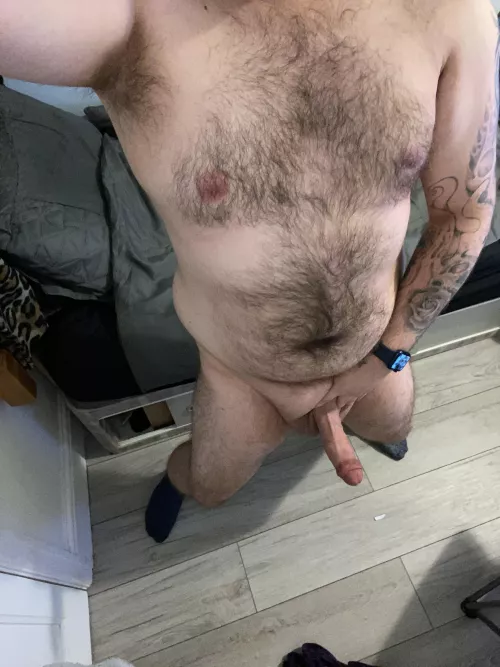 Just a real life chewbacca but chubby lol by Thicchairyviking21