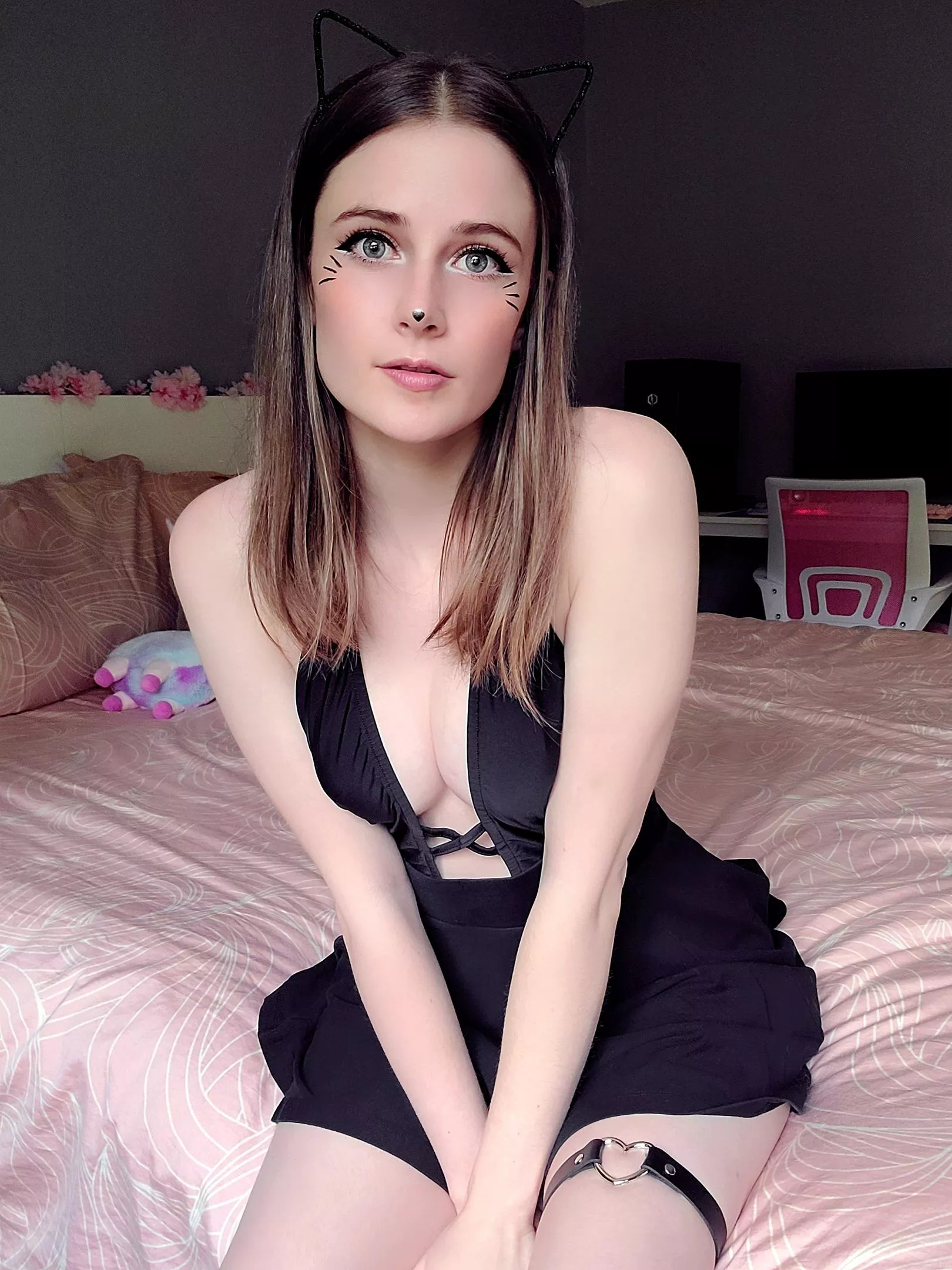 Just a shy kitty👀😸 posted by gemma-elle