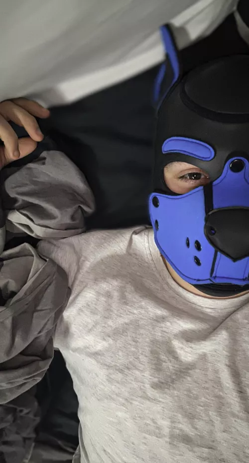 Just a sleepy pup! by pup_ink