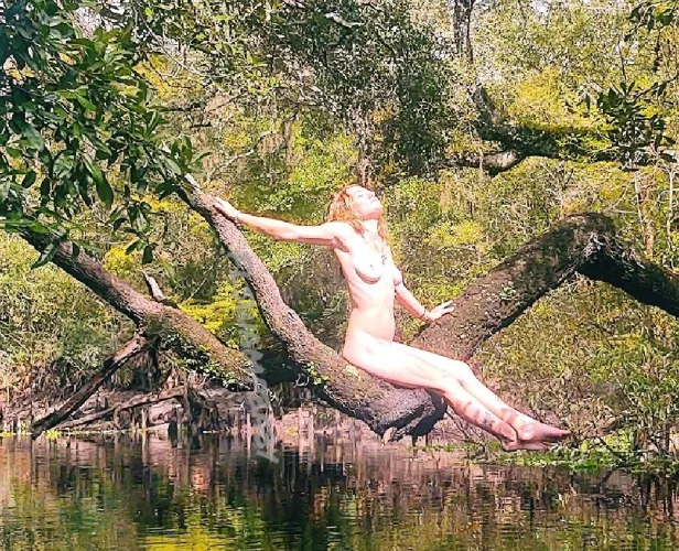 Just a sunny spot... by Flswampbaby