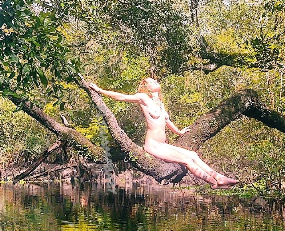 Just a sunny spot... posted by Flswampbaby