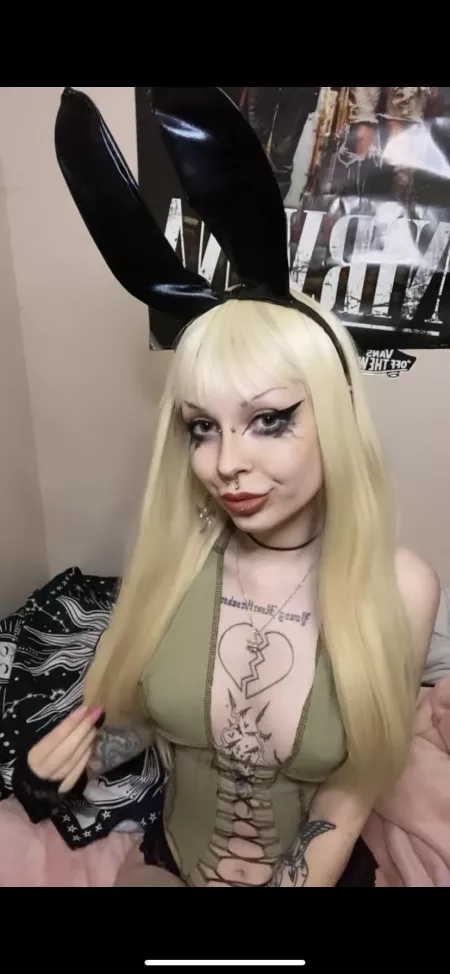 just an alt bunny looking for a new home by freakonaleash47