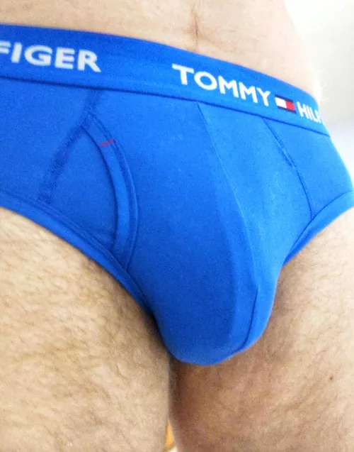 Just another day with my blue Tommy's by Sexsexsextom