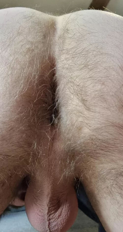 Just another hairy ass 🙈 by son2507