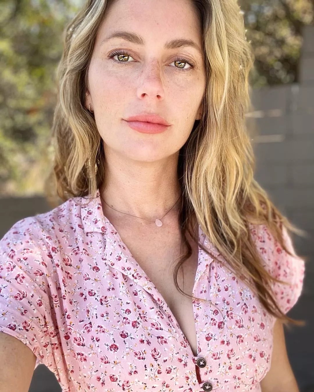 Just beautiful posted by LactobacillusShirota