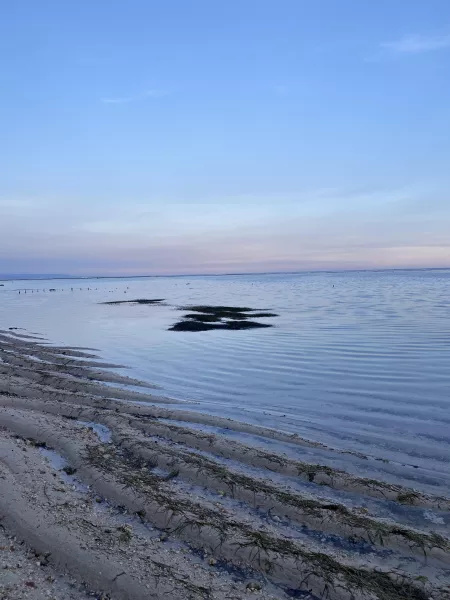 just before sunset. ☀️ by Daaandylion