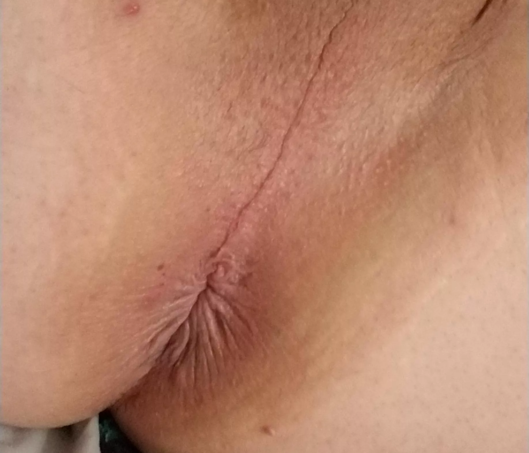 Just came home... shaved and then he flaked out on me.... 😿 posted by cdKristi420