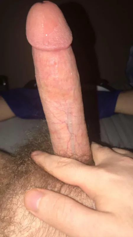 Just curious what people think by anon010101a