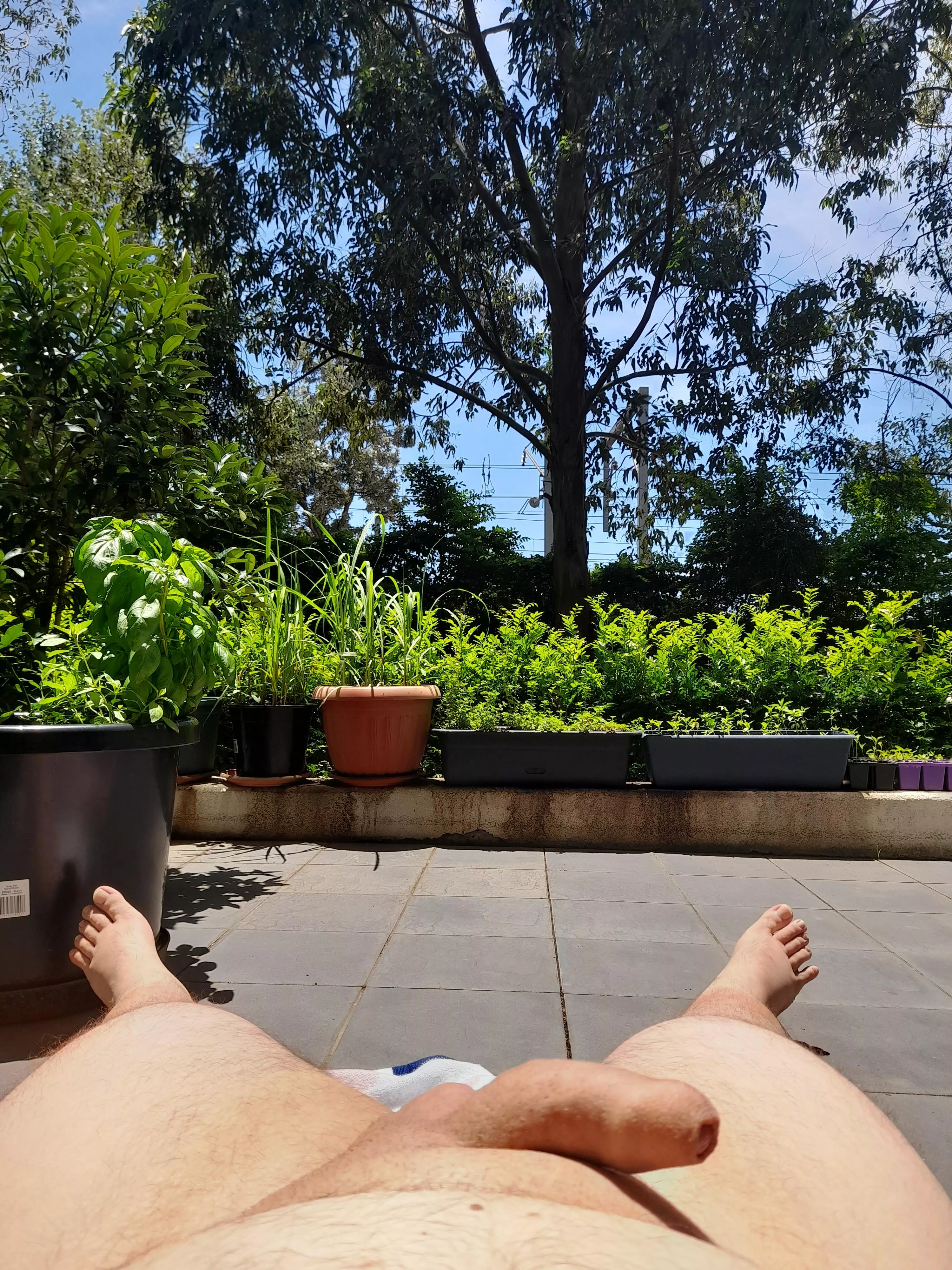 Just enjoying the sunshine😊 posted by wolfheadoutlaw